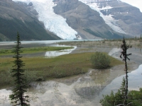 Berg Glacier